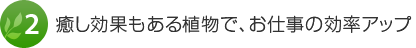 2.癒し効果もある植物で、お仕事の効率アップ