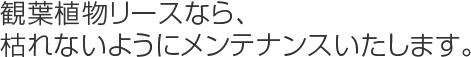 観葉植物リースなら、枯れないようにメンテナンスいたします。